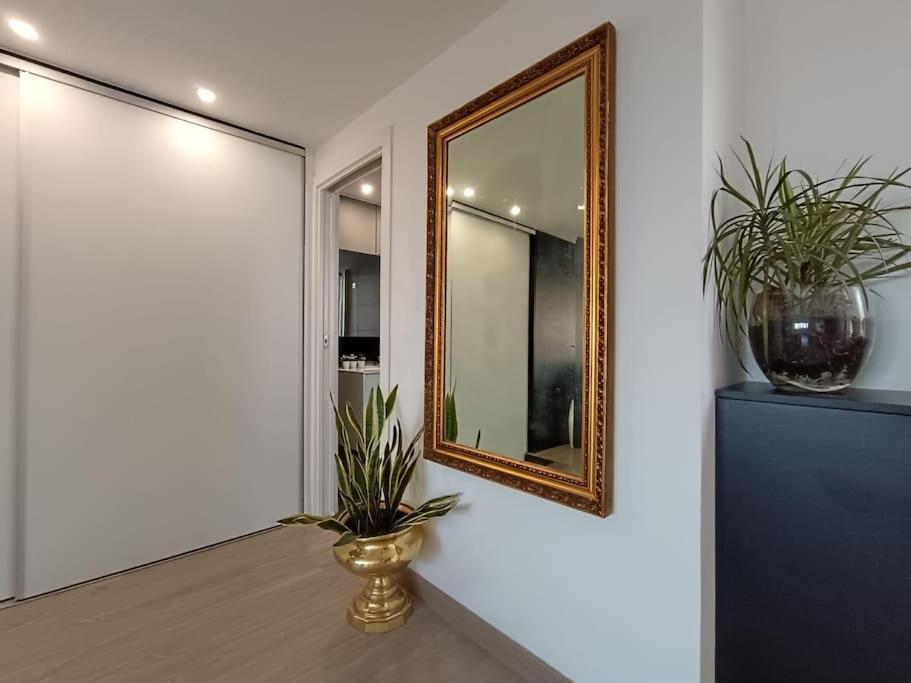Spacious Studio By The University San Vicente Raspeig Dış mekan fotoğraf