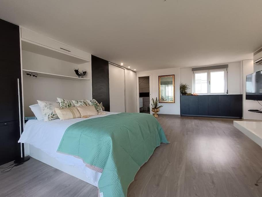 Spacious Studio By The University San Vicente Raspeig Dış mekan fotoğraf